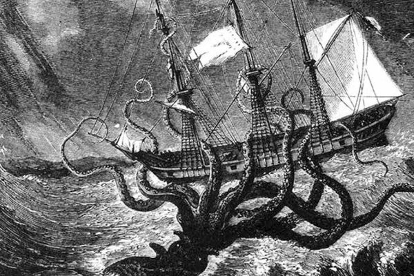 Kraken online