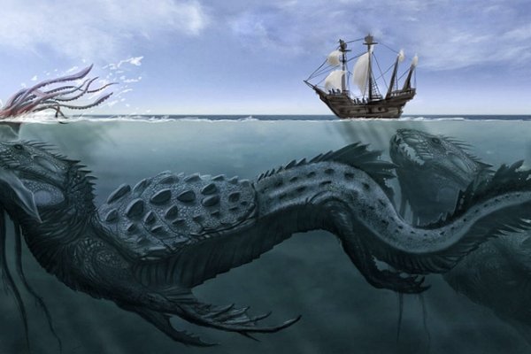 Kraken whitenet tor