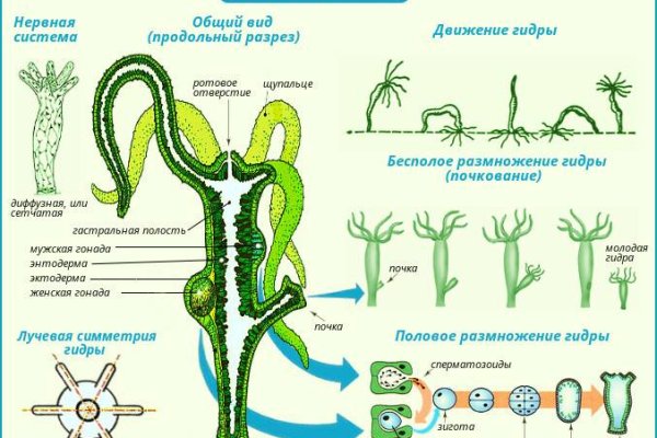 Kraken onion вход