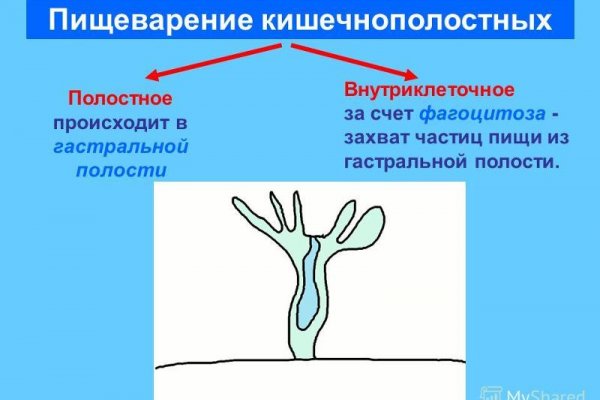 Ссылка на kraken торговая площадка