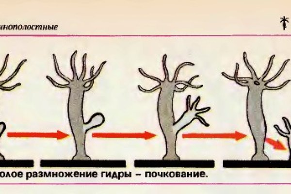 Зеркало на кракен