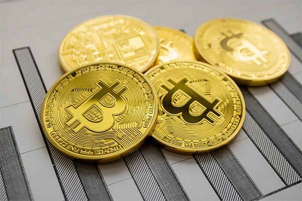 Whitenet как войти