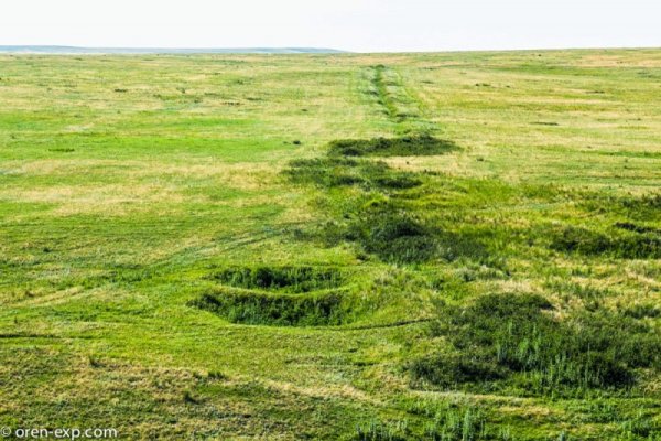 Как восстановить пароль кракен
