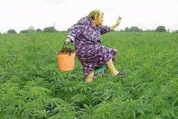 Кракен перестал работать