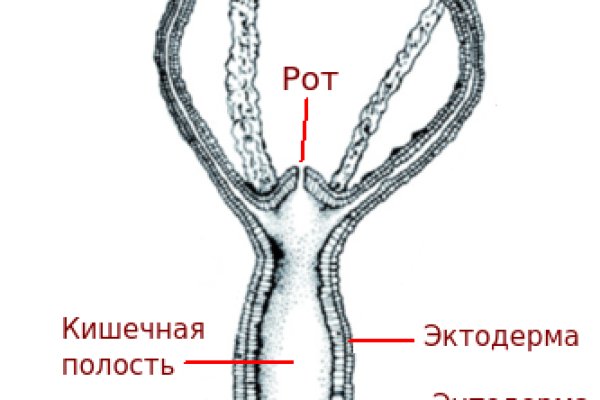 Как войти в супернет