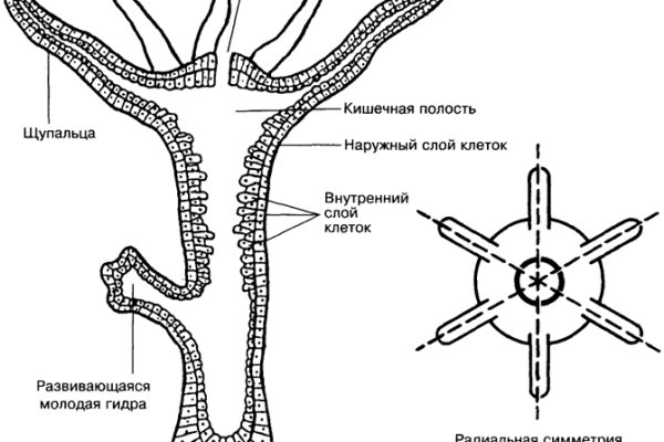 Кракен топ