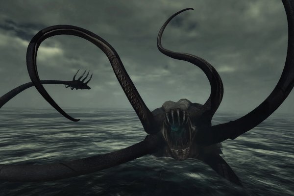 Kraken com whitenet