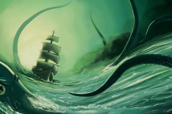 Kraken whitenet store