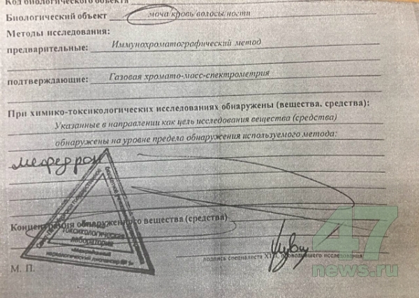 Как открыть ссылку с кракена